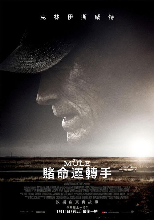 骡子电影海报