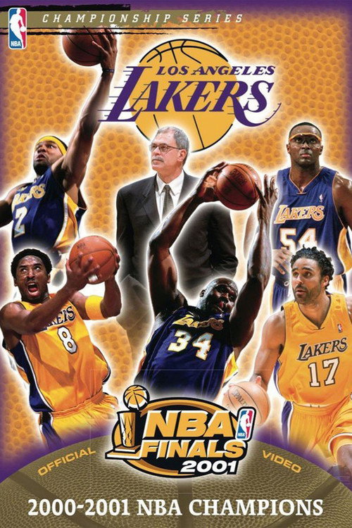 2001年NBA总决赛海报