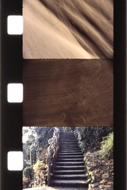 Sacré-Coeur 1983 Sacré-Coeur 1983