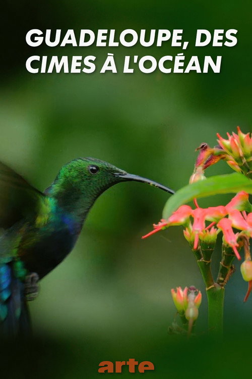 Guadeloupe, from Summits to Ocean Poster