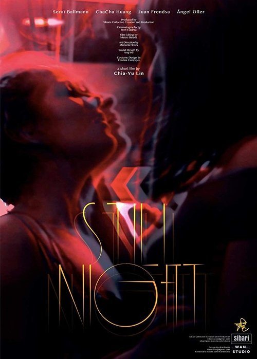 Still Night Poster