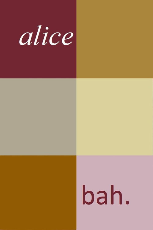 Alice Bah poster 3