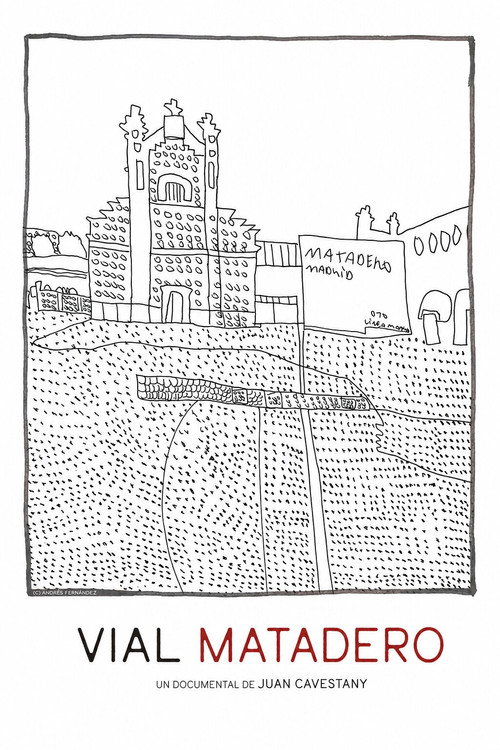 Vial matadero's poster