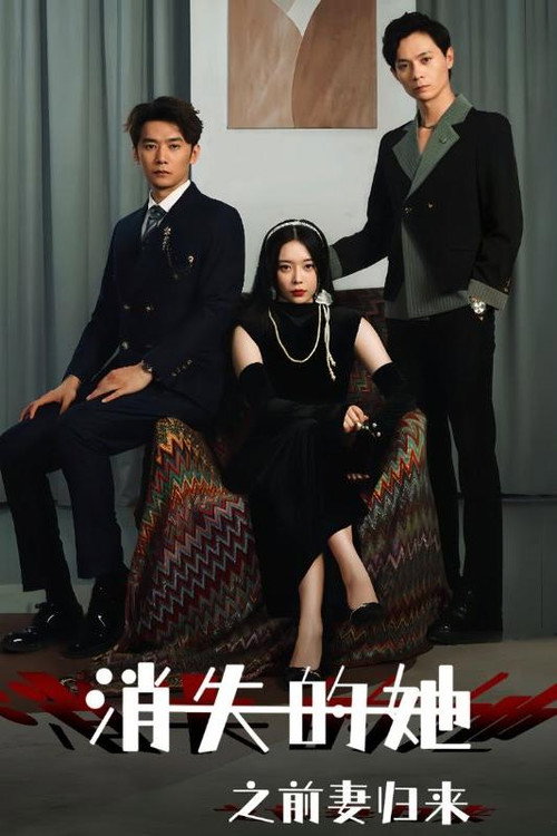 消失的她之前妻归来电影海报