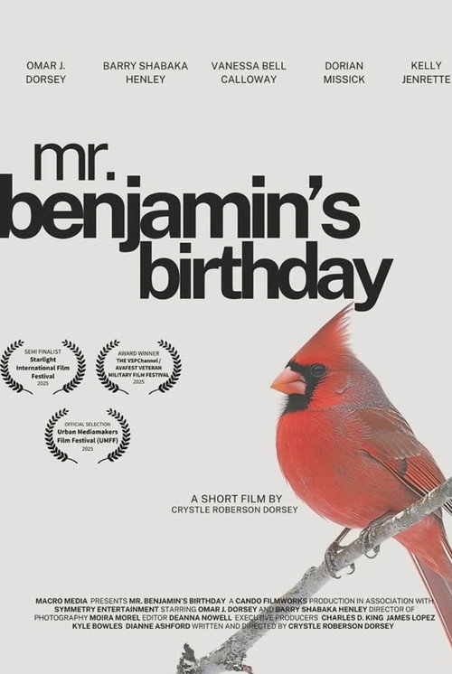 Mr. Benjamin's Birthday's poster