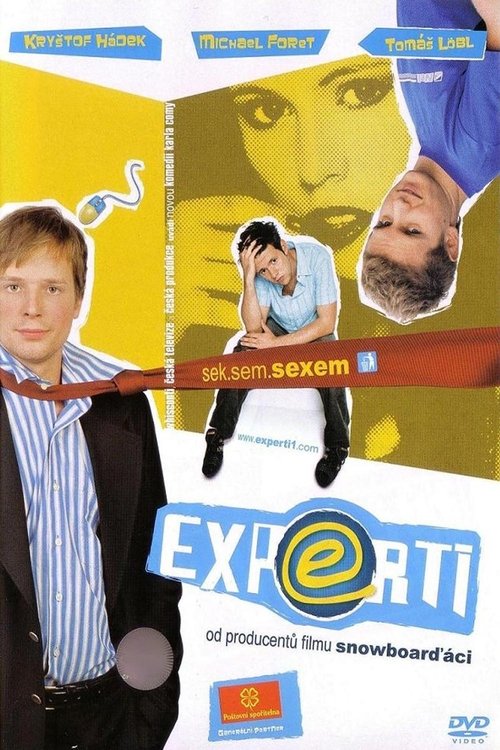 Ver Pelical Experti (2006) Gratis en línea
