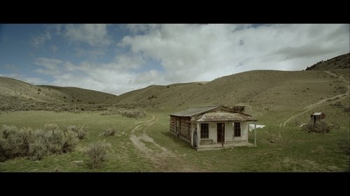 Ride By Night (2017) Streaming Free
