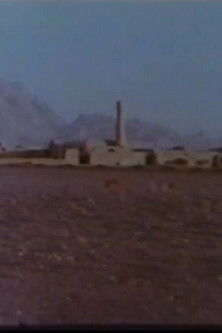 Jameh Mosque of Fahraj