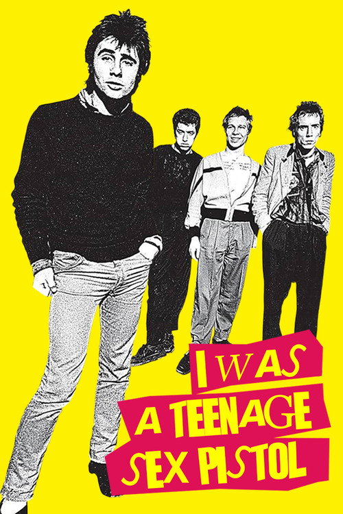 I Was a Teenage Sex Pistol电影海报
