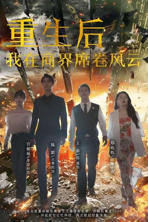 重生后我在商界席卷风云海报