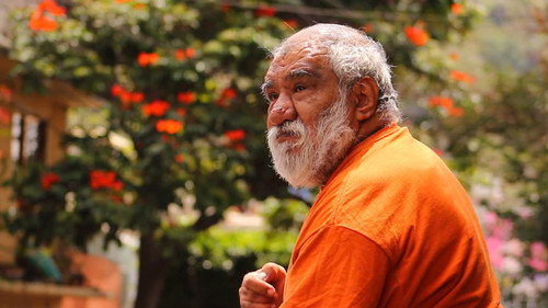 La pared del Don (2020) PHIM ĐẦY ĐỦ [VIETSUB]