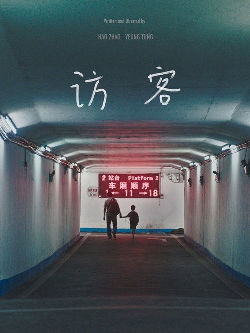 訪客电影海报