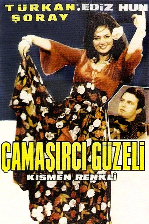 The Washer Beauty poster 2
