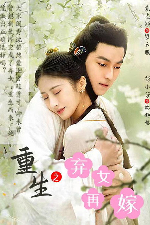 重生之弃女再嫁电影海报