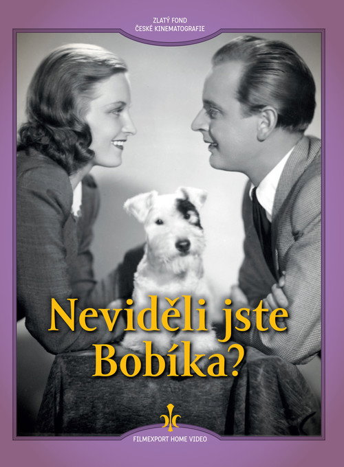 Neviděli jste Bobíka? poster 2