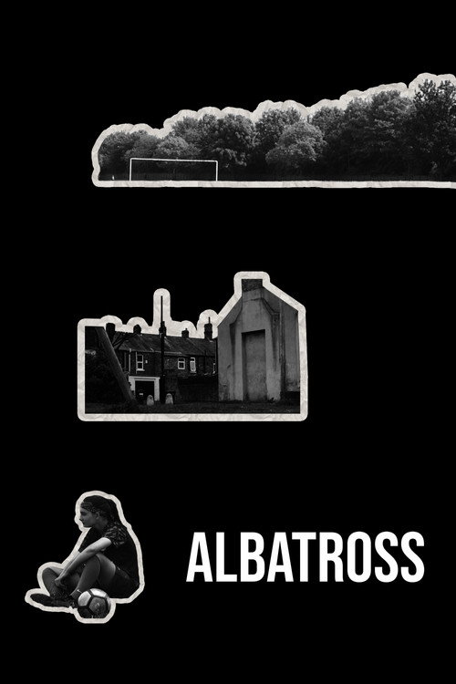 Albatross电影海报