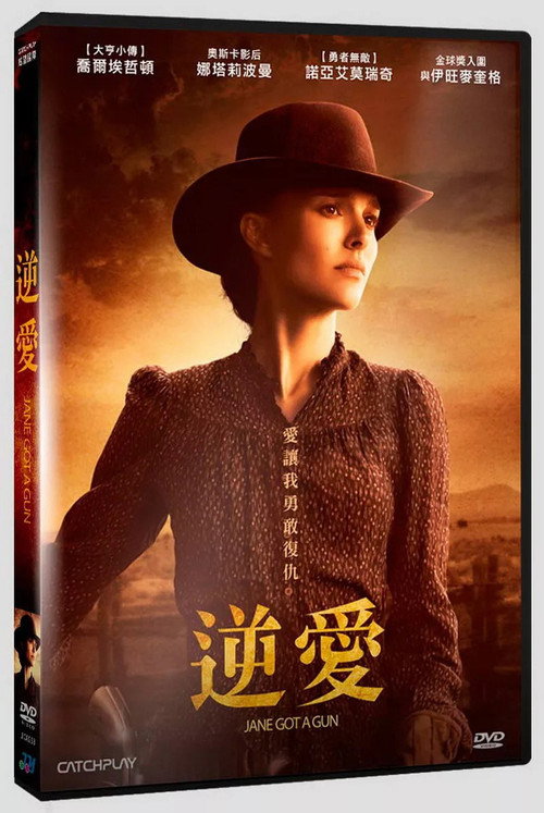 拿起枪的简电影海报