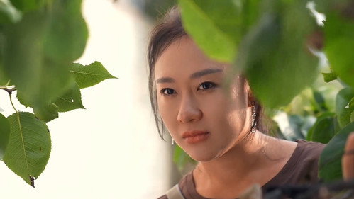 我和我的松树村第1季第19集
