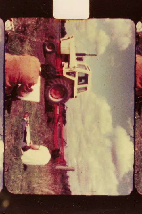 Landscape's poster