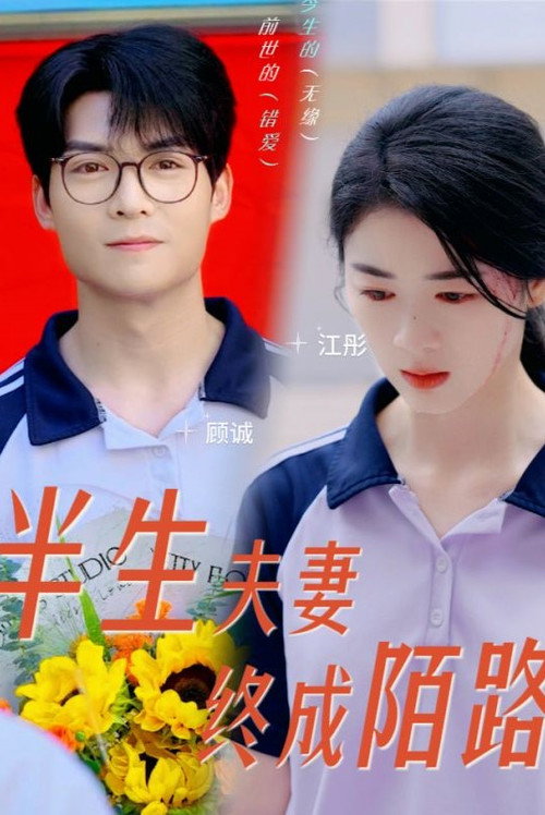 半生夫妻终成陌路电影海报