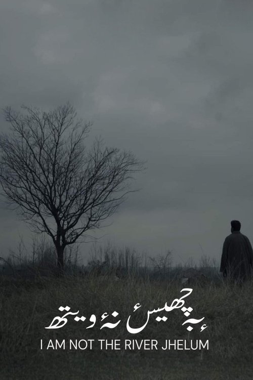 I'm Not The River Jhelum Poster