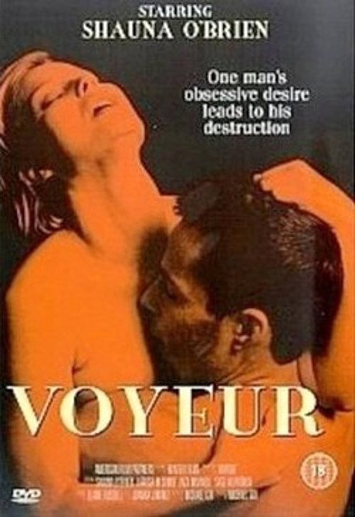 Voyeur poster 4