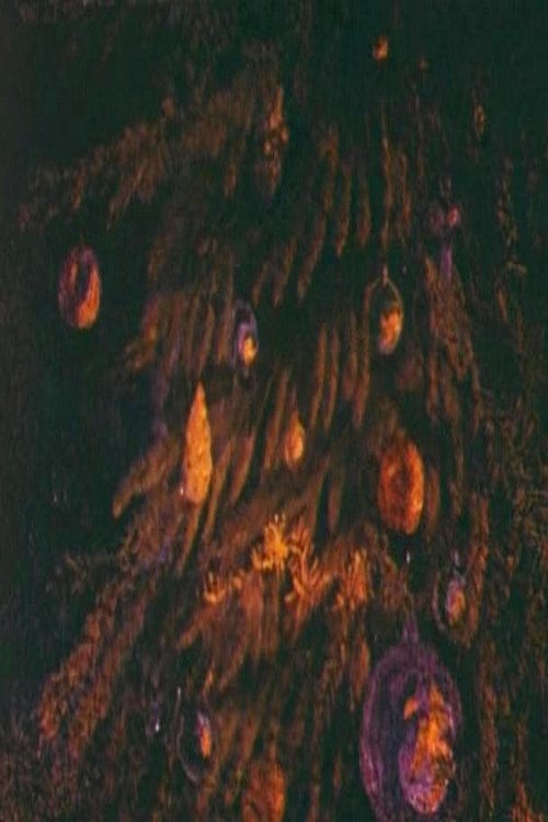 Блики