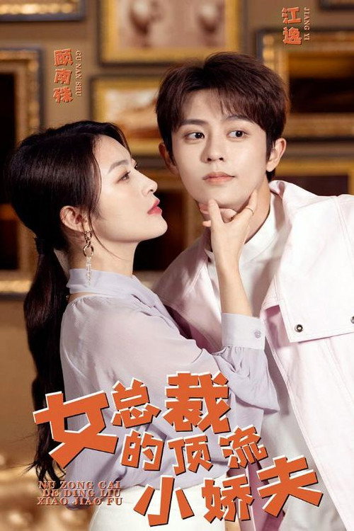 女总裁的顶流小娇夫电影海报