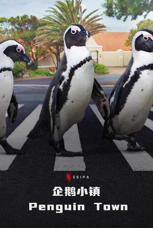 企鹅小镇海报