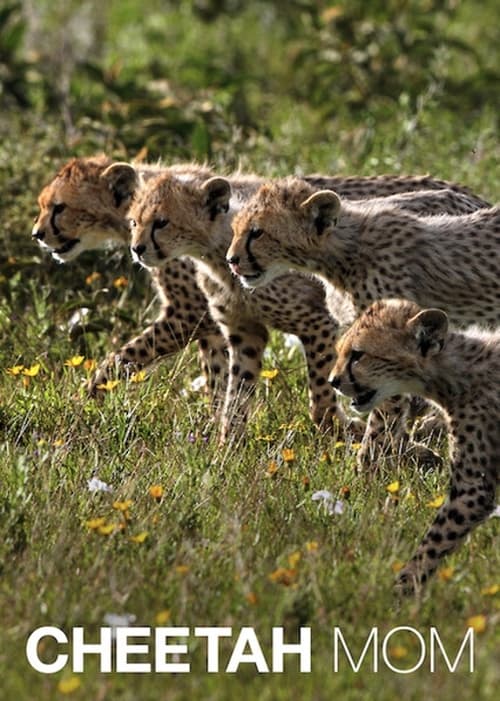 Cheetah+Mom