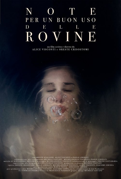 Note per un buon uso delle rovine Poster