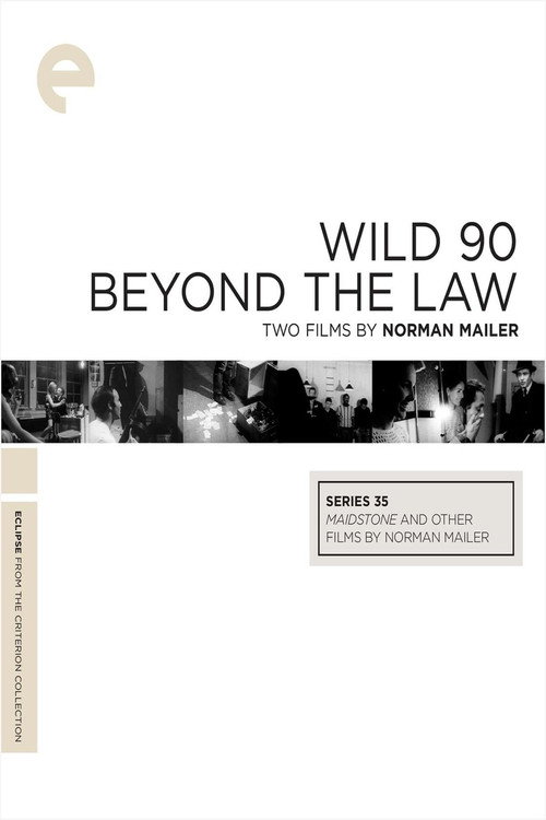 Beyond the Law poster 5