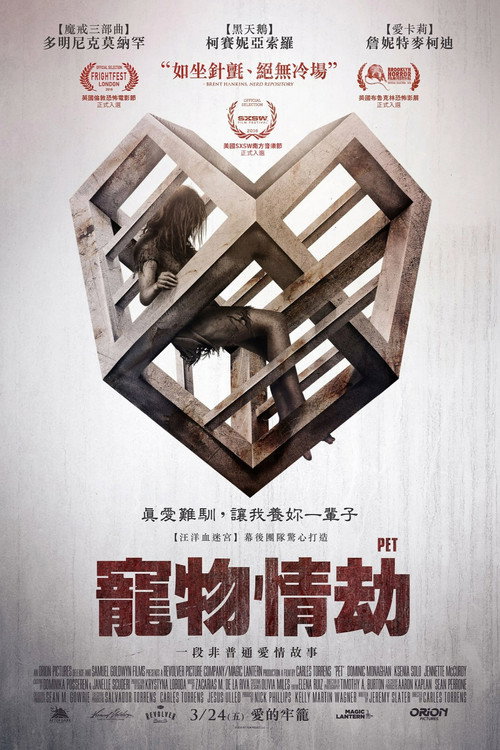 爱宠电影海报