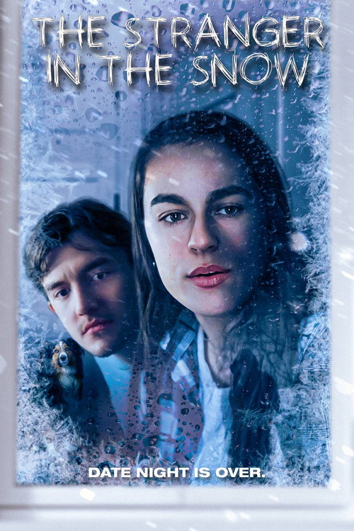 The Stranger in the Snow's poster