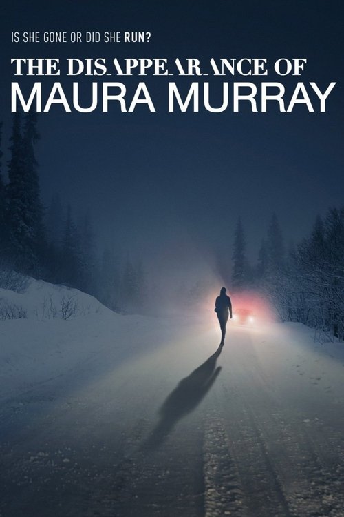 Poster of La desaparición de Maura Murray