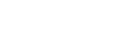 CRAZY LIZARD Logo