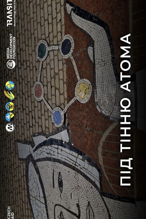 Under the Nuclear Shadow