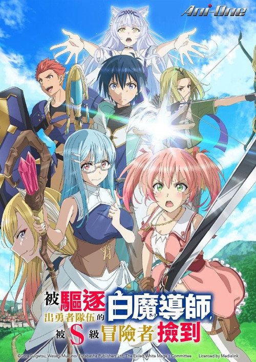 被驱逐开勇者派对的白魔导师，被S级冒险者捡到 ～这个白魔导师超规格～电影海报