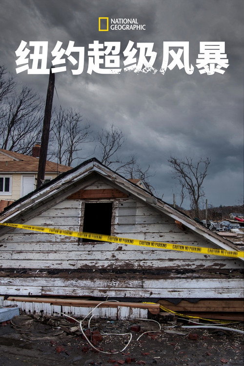 Superstorm New York: What Really Happened电影海报