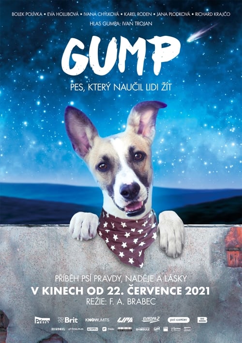 Gump – pes, který naučil lidi žít (2021) หนังเต็มออนไลน์