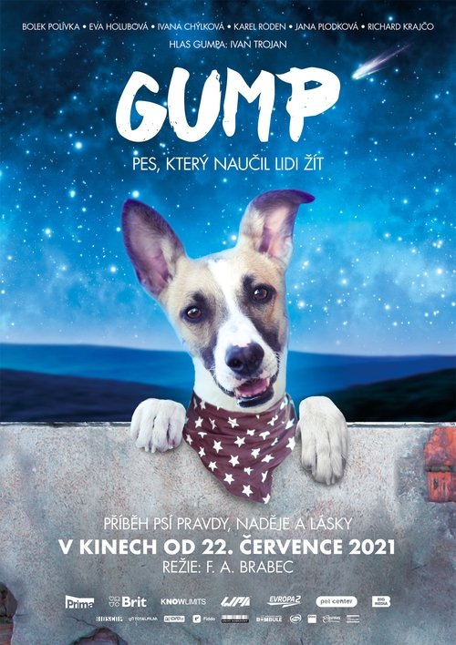 Gump – pes, který naučil lidi žít (2021) Filmes Completos Gratis
