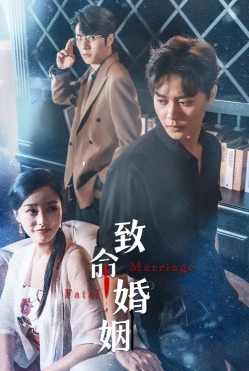 致命婚姻电影海报
