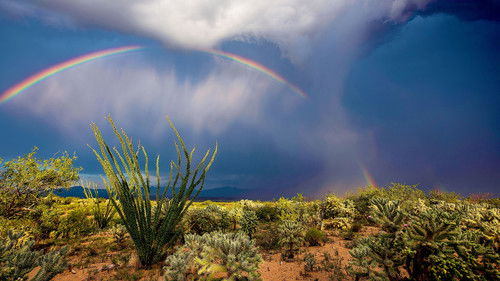 Vahşi Amerika - Vahşi Batı
