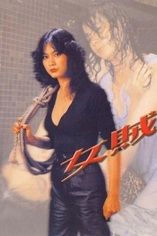 Pink Thief poster 2