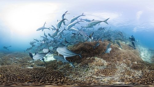 Climat en péril : La preuve par l'image (2017) Film Completo Film Complet En Francais