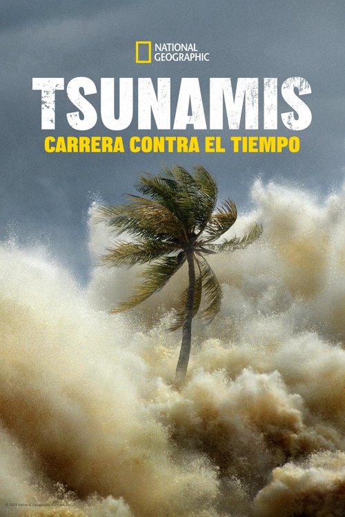 Poster of Tsunamis: Carrera contra el tiempo