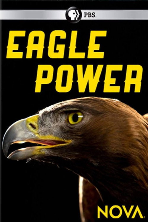 Eagle Power Poster