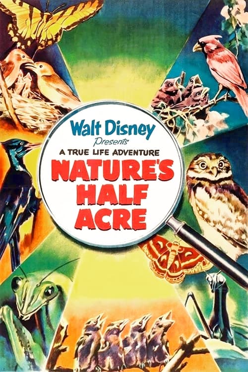 Nature's Half Acre Poster
