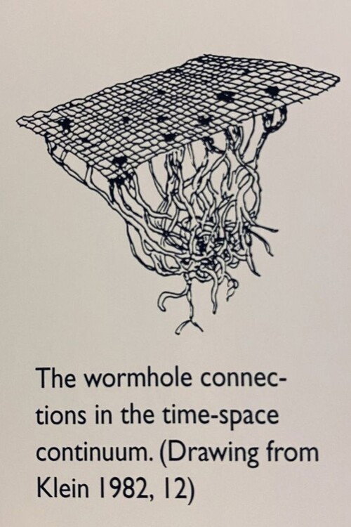 The wormhole connections in the time-space continuum电影海报