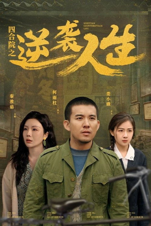 四合院之逆袭人生电影海报